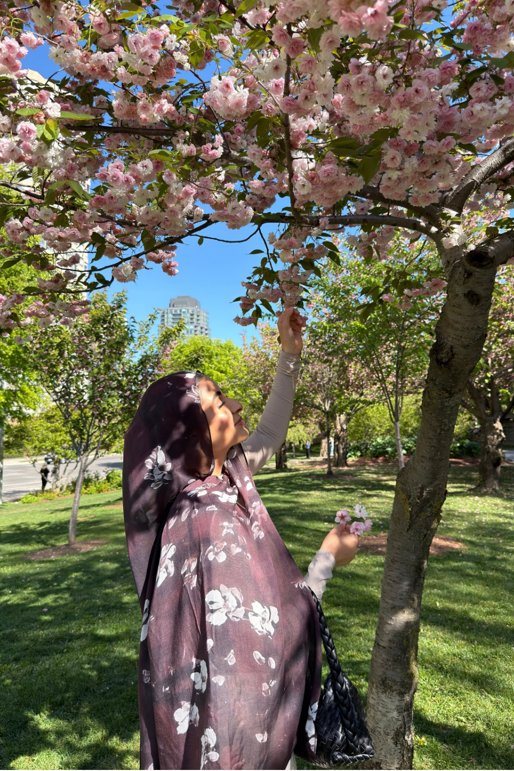 Burgundy Blossom