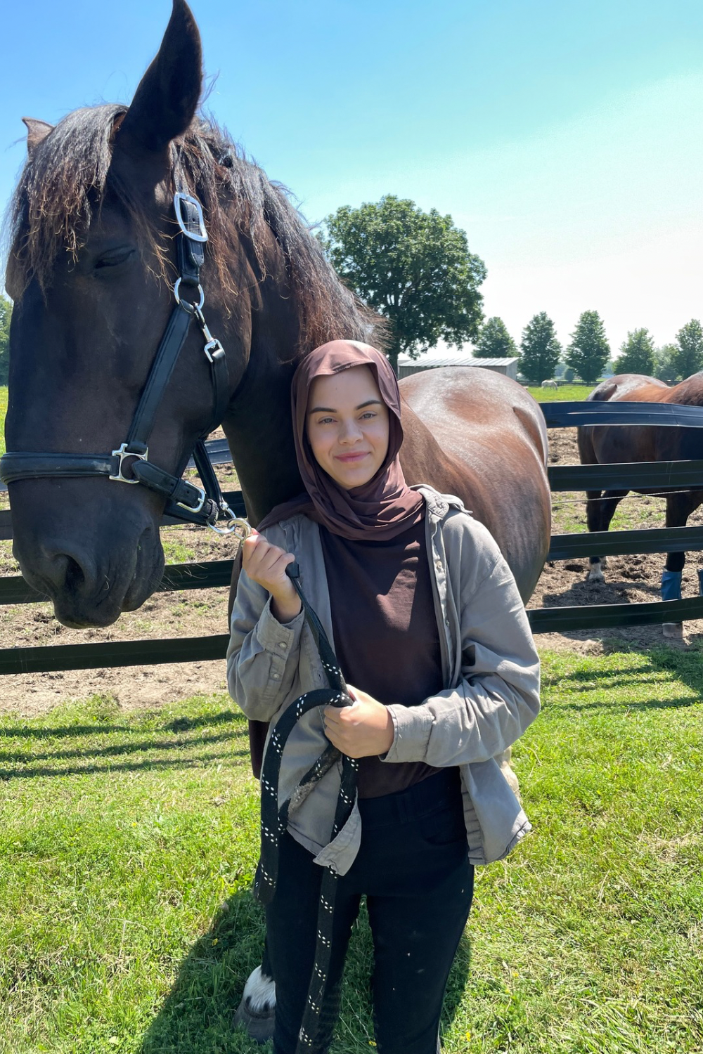 Deep Brown liquid jersey hijab - Zahriya